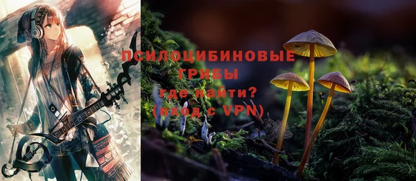 соль ск Верея