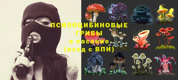 соль ск Верея